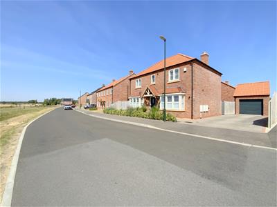 Picture 28